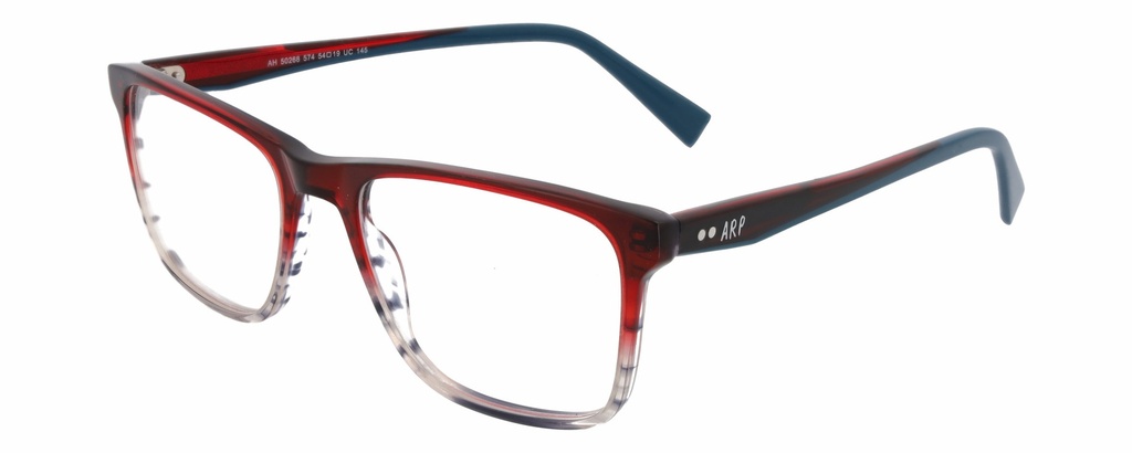 ARP Hombre RX* 50268 COL 574 Ø54/19 145 - L.01