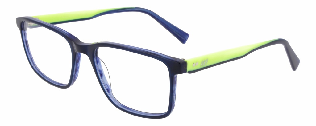 ARP Hombre RX* 50273 COL 544 Ø54/19 145 - L.01