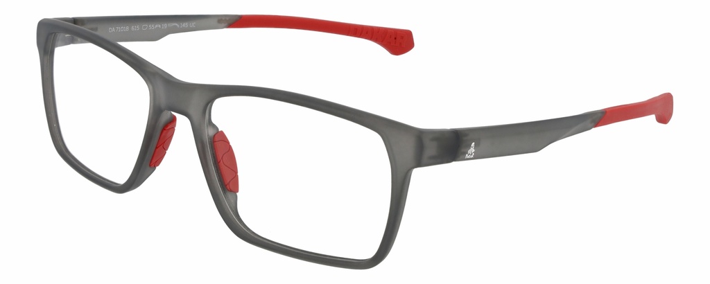 DAKAR RX* 71018 COL 615 ø55/19 145 - L.01
