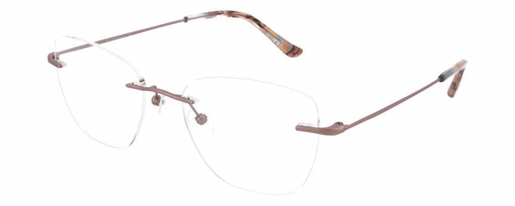 DIANE DE CARLO RX* 59360 COL 267 Ø54/17 140 - L.01