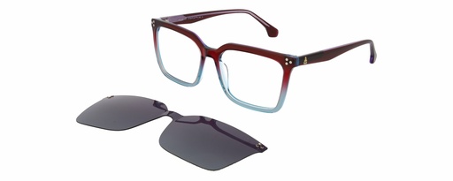 DAKAR Clip On L* 11032 COL 572 ø55/16 140 - L.01